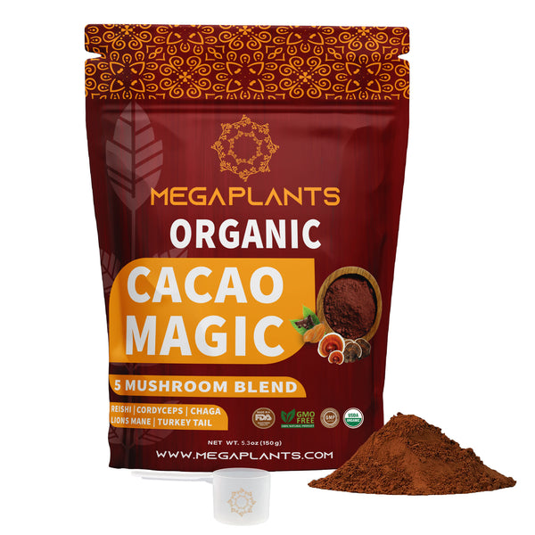 YOGINI FOOD 100strawberry ＋cacao Superfood Market - Yogi Tea | Choco - Cocoa, Liquorice