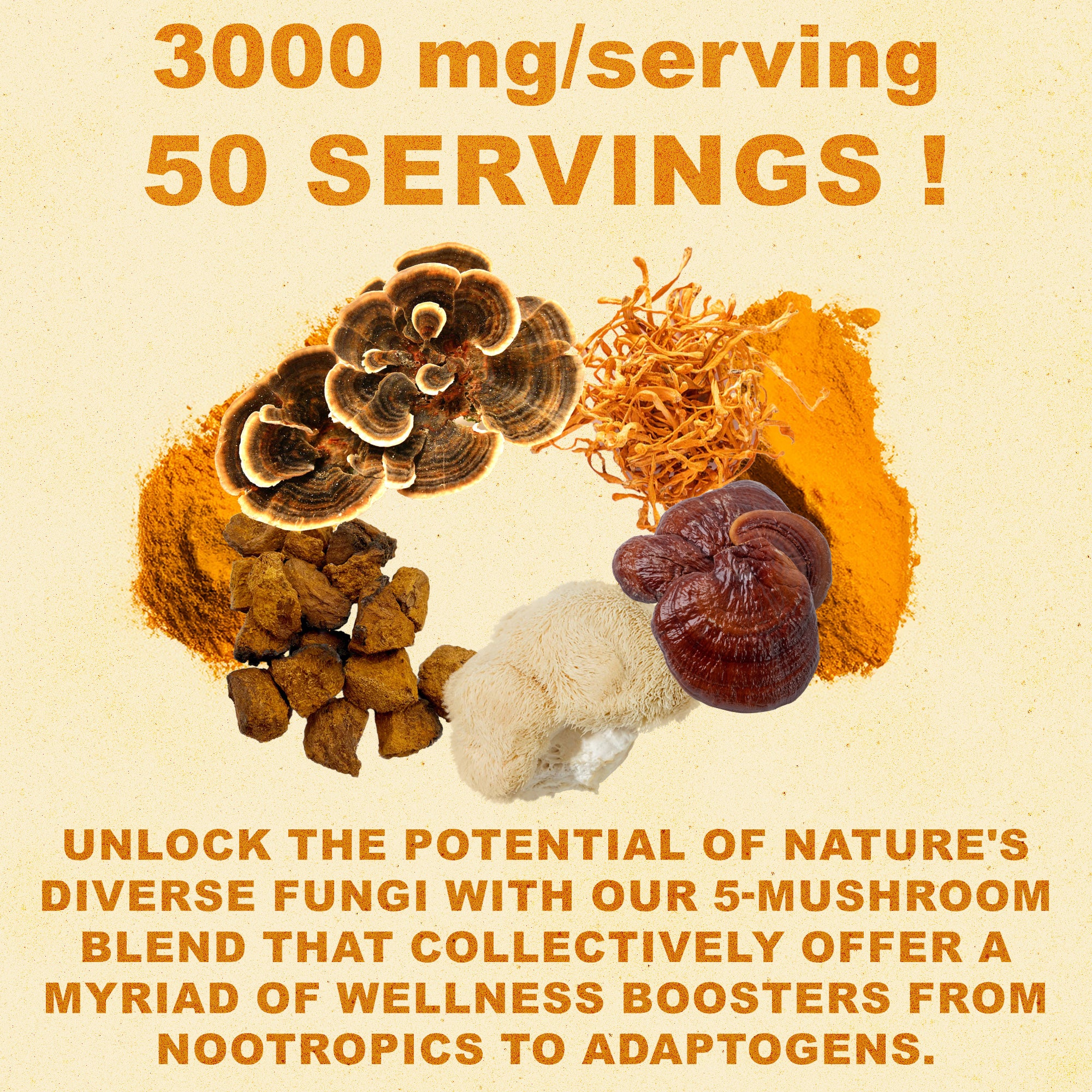 Golden Milk Magic | Turmeric & Mushroom Superfood Blend – 50 Servings