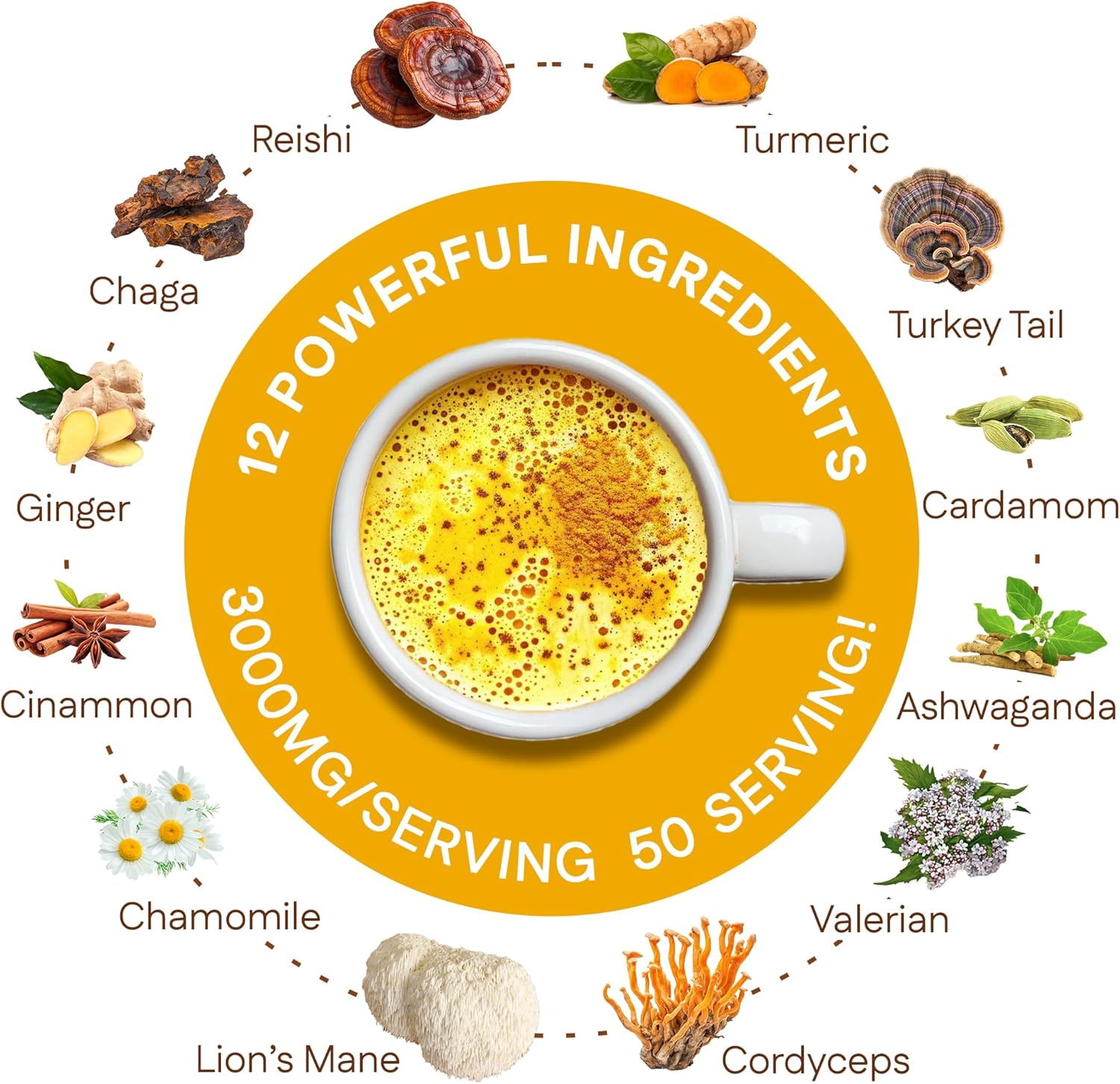 Golden Milk Magic | Turmeric & Mushroom Superfood Blend – 50 Servings