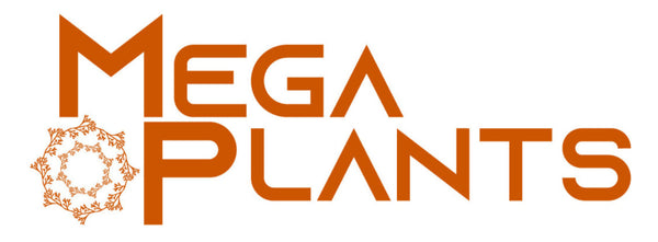 MegaPlants