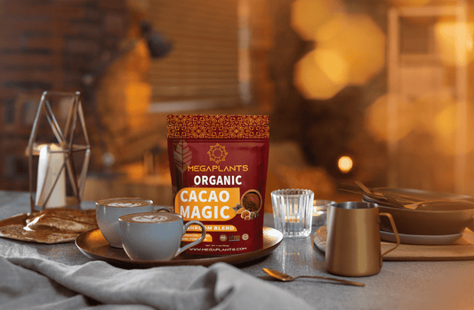 Cacao Magic Five Mushroom Cacao Blend