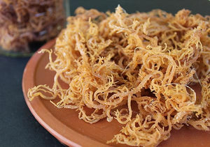 Sea Moss