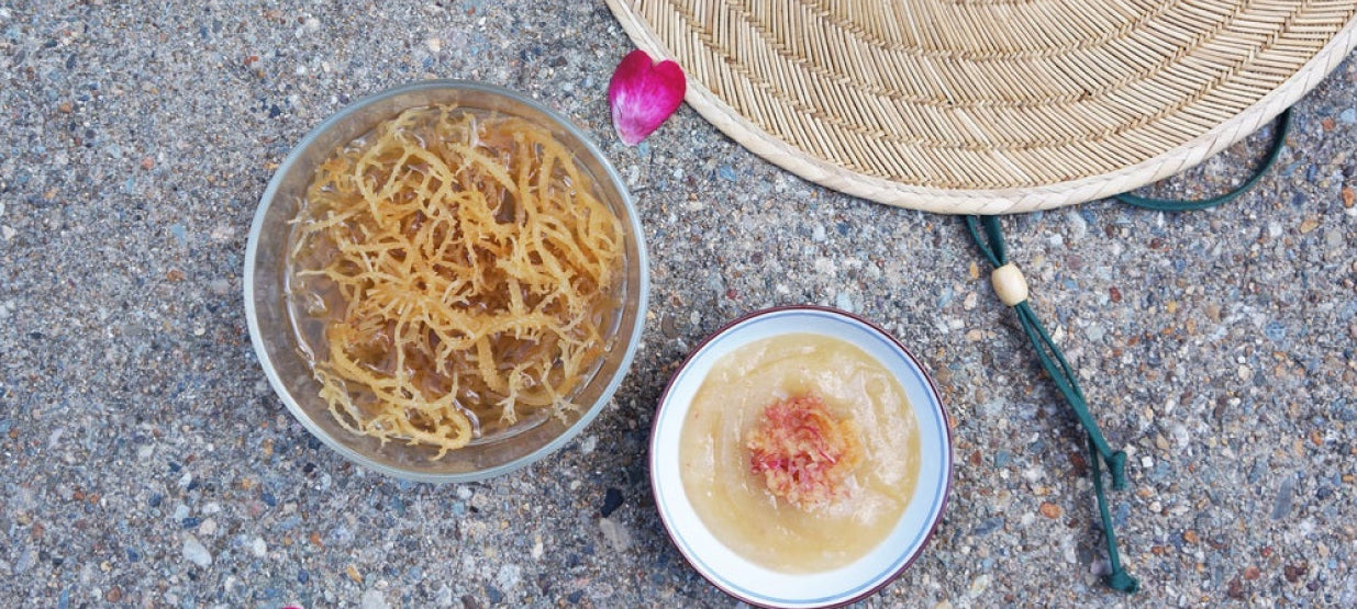 Sea Moss Facemask