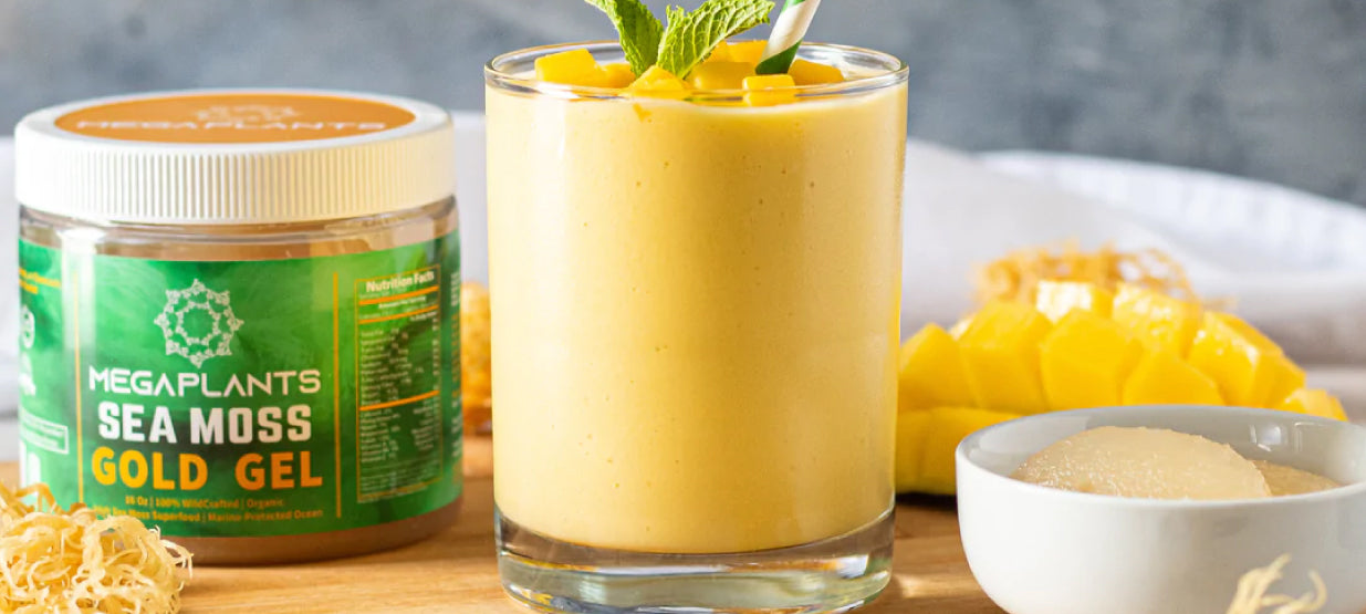 Coconut Mango Smoothie
