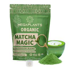 MegaPlants Matcha Magic