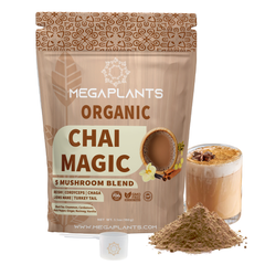 MegaPlants Chai Magic