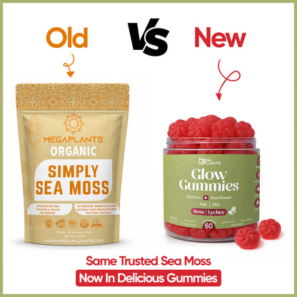 MegaPlants Sea moss Gummies