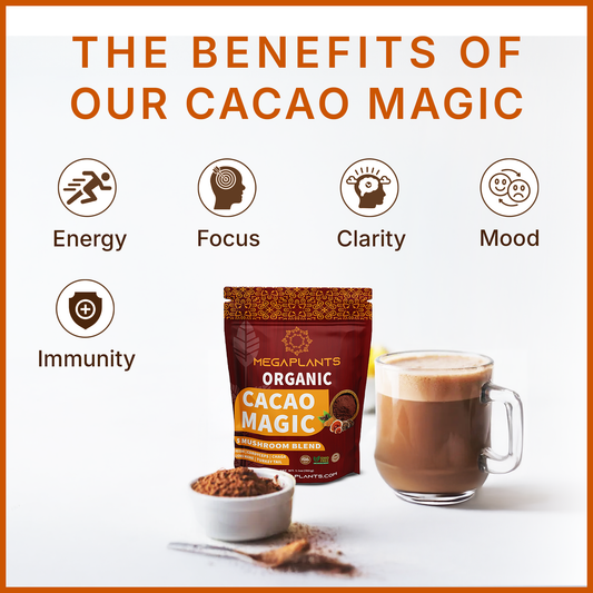 MegaPlants Cacao Magic