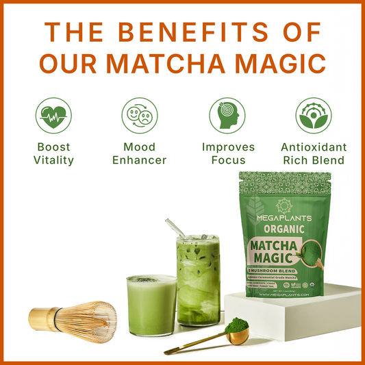 MegaPlants Matcha Magic