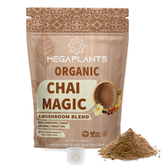 MegaPlants Chai Magic