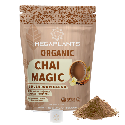 MegaPlants Chai Magic