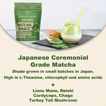 MegaPlants Matcha Magic