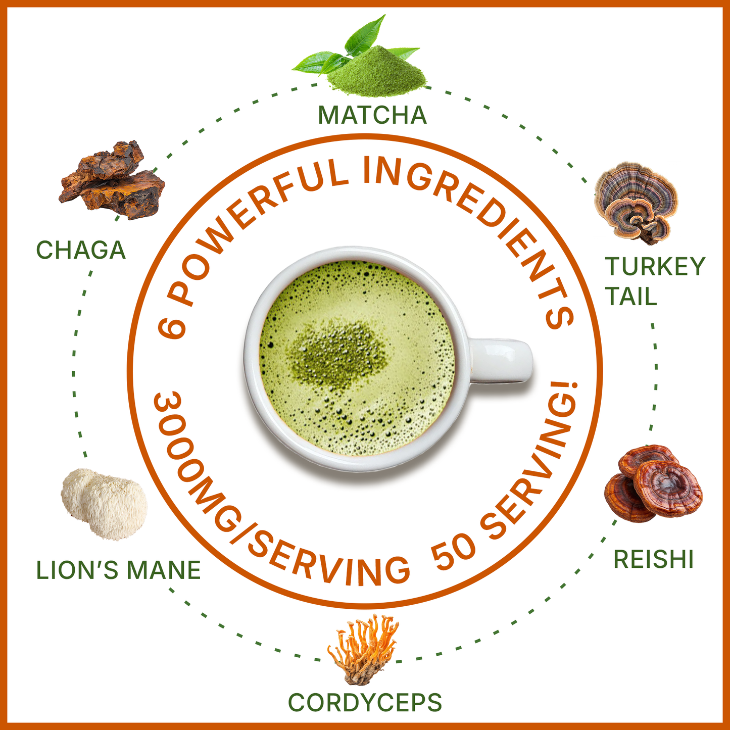 MegaPlants Matcha Magic