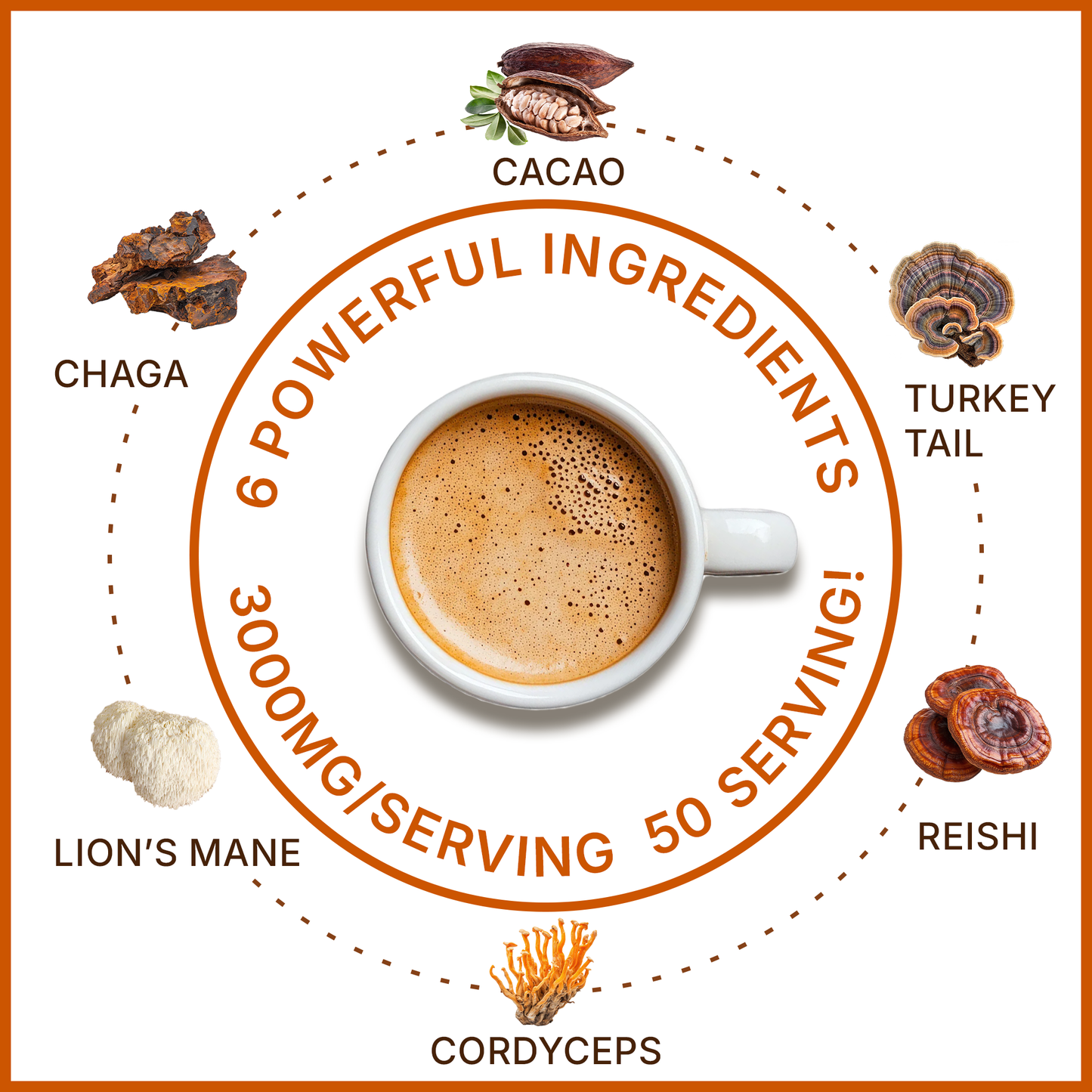 MegaPlants Cacao Magic