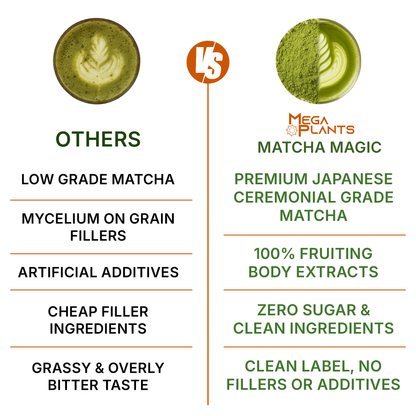 MegaPlants Matcha Magic