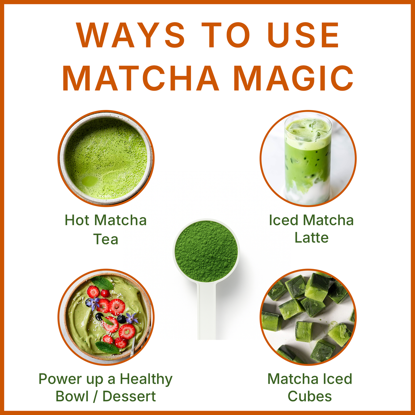 MegaPlants Matcha Magic