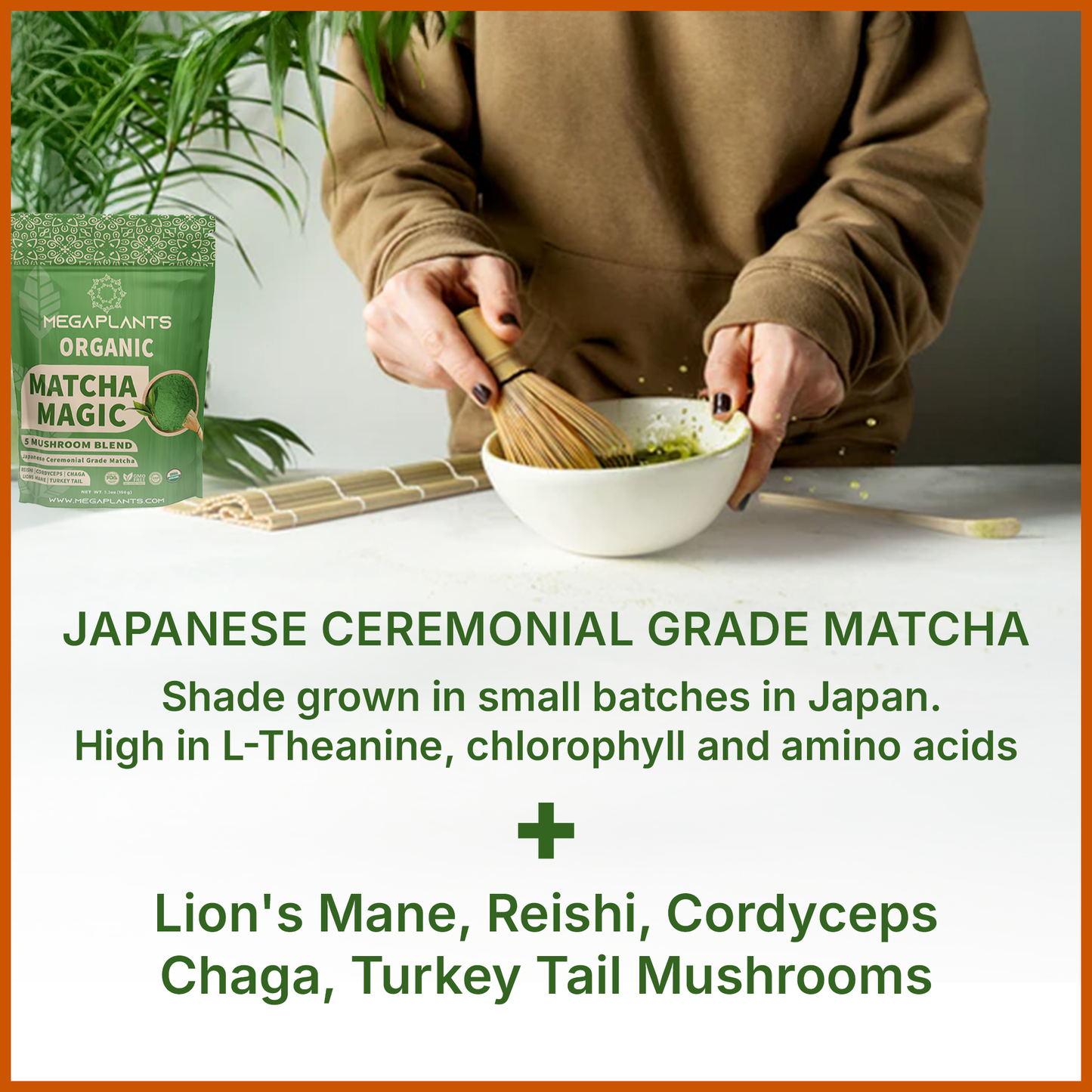 MegaPlants Matcha Magic