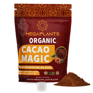 MegaPlants Cacao Magic