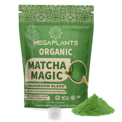 MegaPlants Matcha Magic