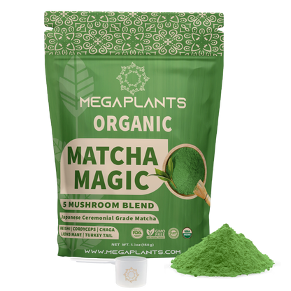 MegaPlants Matcha Magic